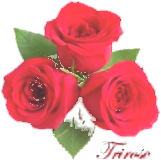 Trirose